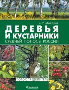 Деревья и кустарники средней полосы России: Фотоопределитель