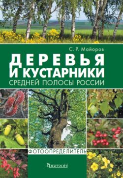 Деревья и кустарники средней полосы России: Фотоопределитель